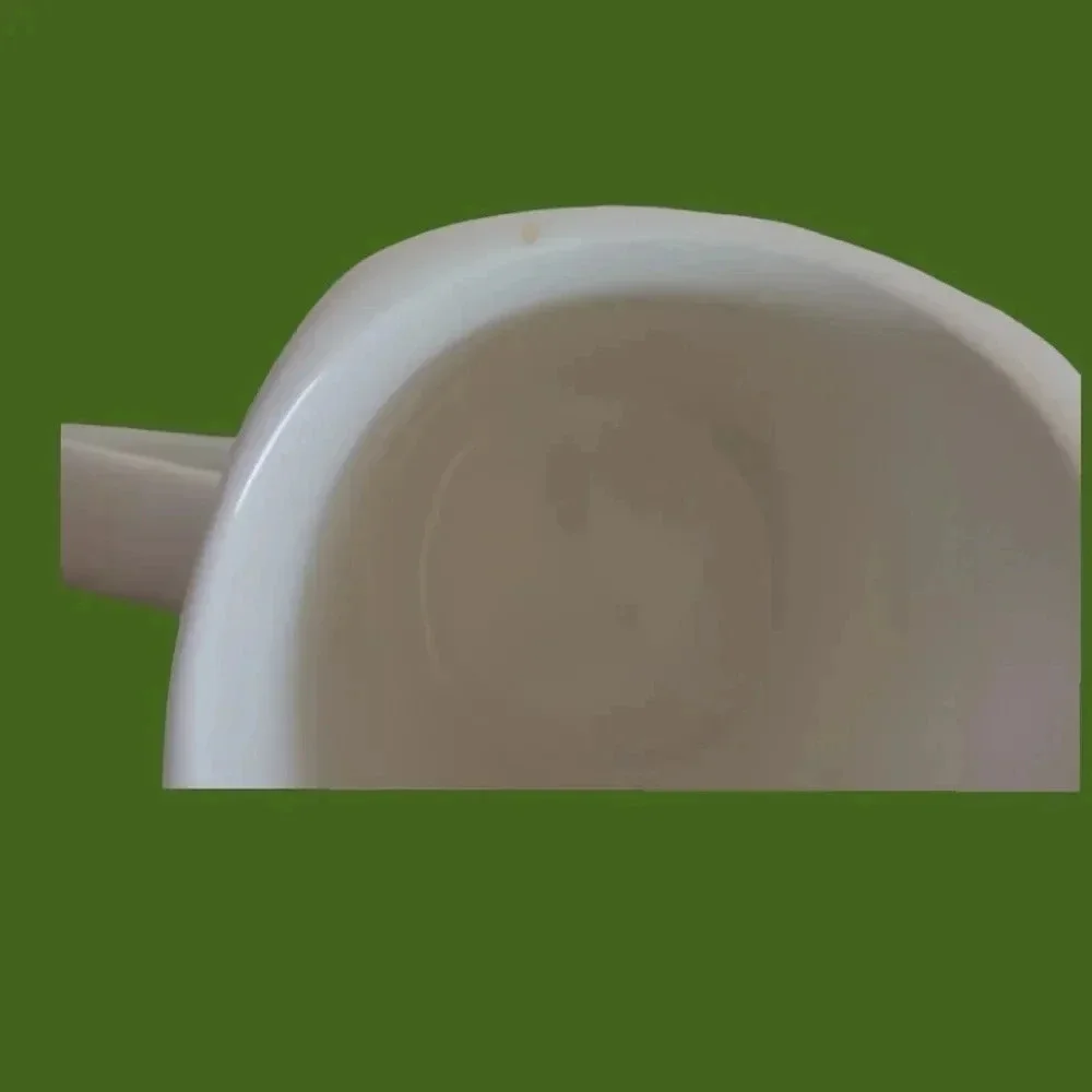 Xiao dang roses coffee cup square 13oz set of 2